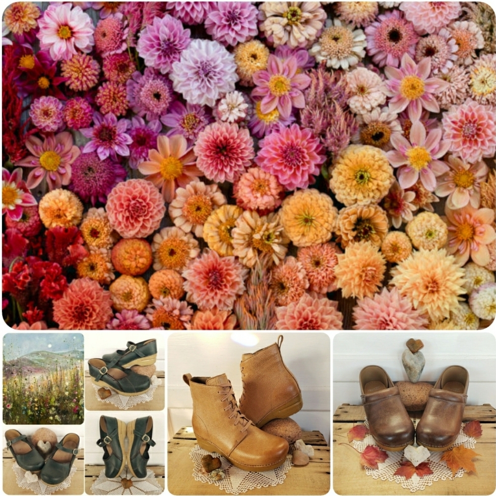 Free Shipping & $3.99 Shipping On Friday & Sunday… - image 3